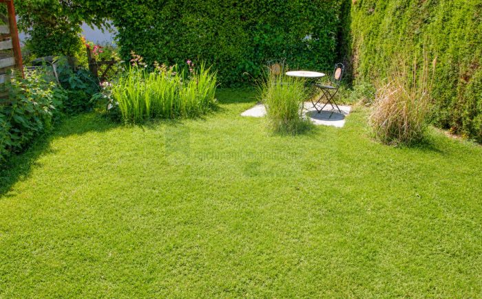 Garten 2