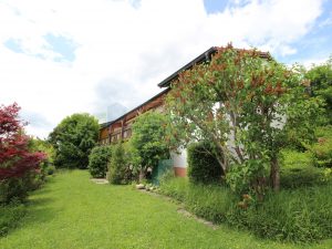 Hinteransicht / Garten