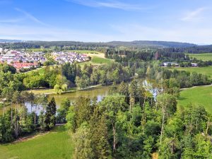 Umgebung - Salinensee