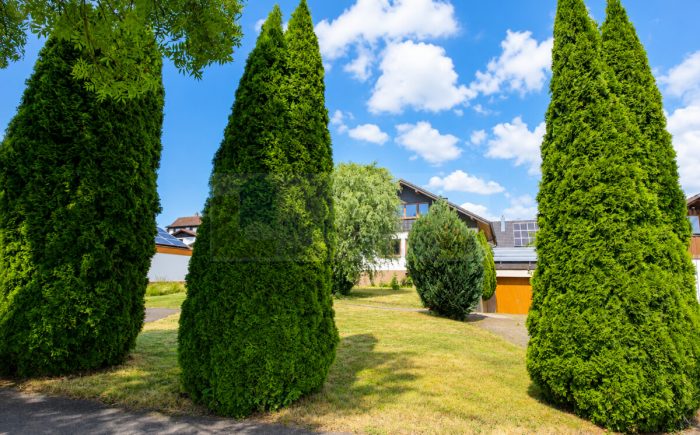 Vorgarten