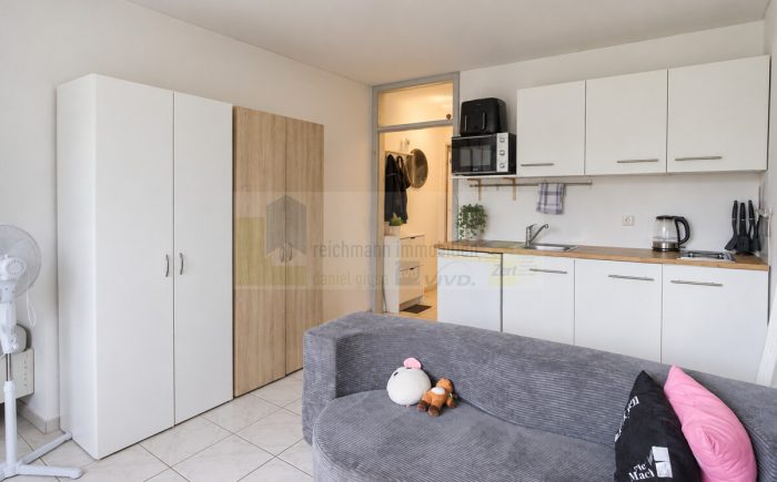 Wohnzimmer mit Küche