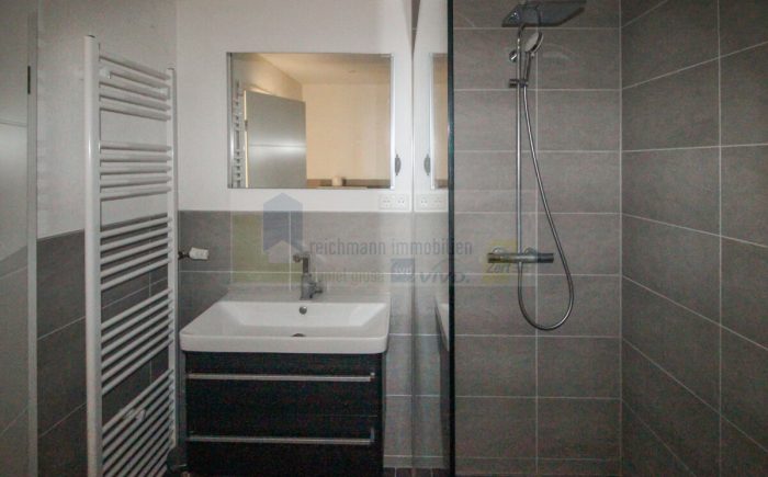 Badezimmer / begehbare Dusche