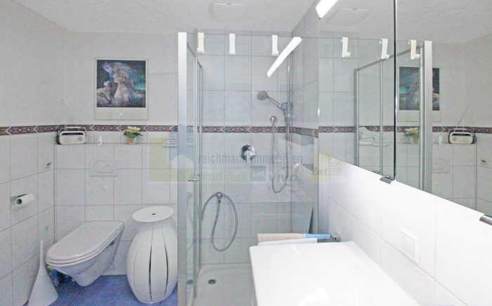 Badezimmer / Dusche / WC